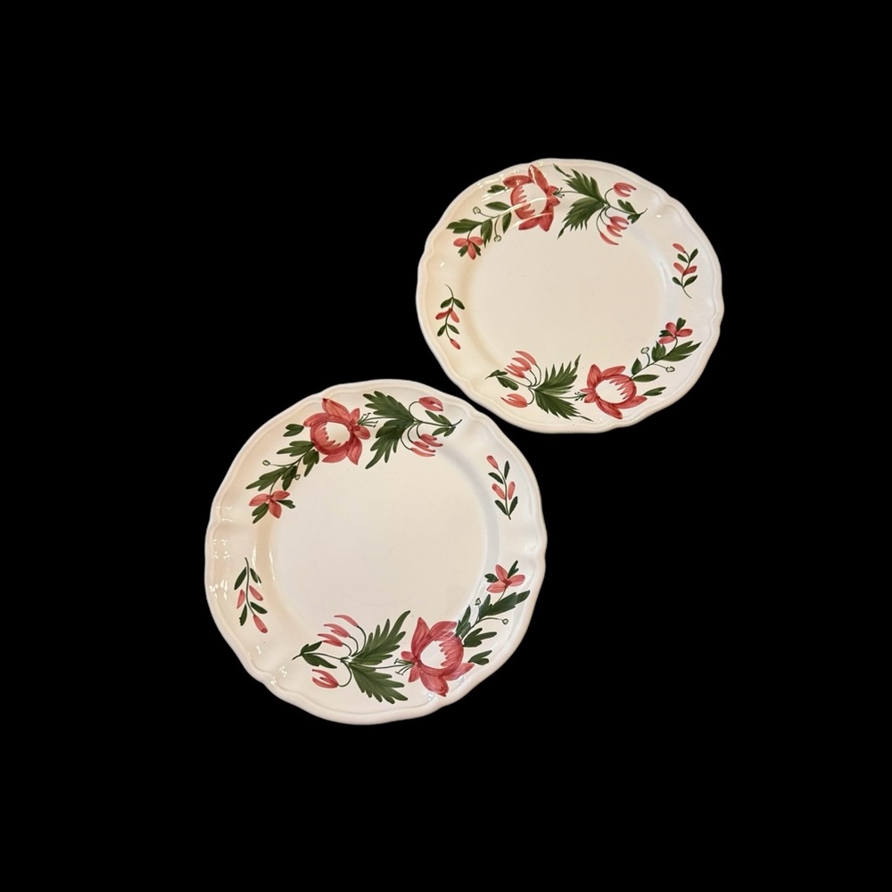 2 Vintage Winterthur Hand Painted Dinner Plates Red Flowers 10.75” Italy Rare